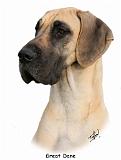 Great Dane 9Y433D-081